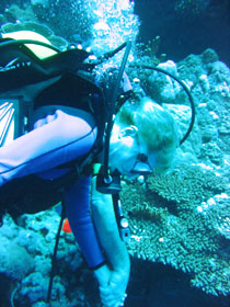 Mélykuti Ilona búvár